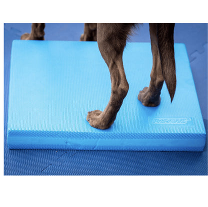 Balance Pad - Pet medical equipment