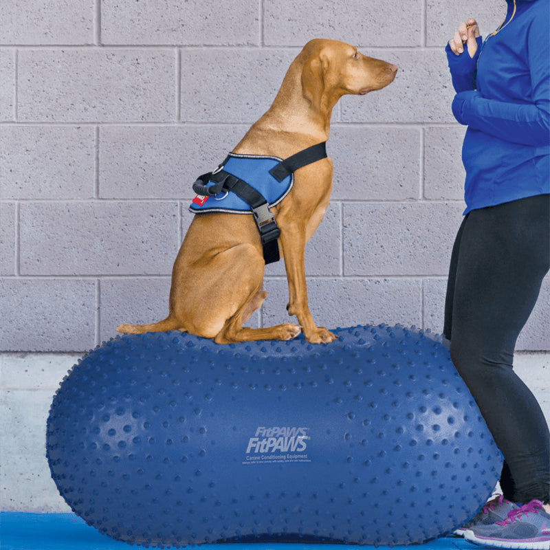 Balance TRAX™ Peanut Benefits - Pet medical equipment