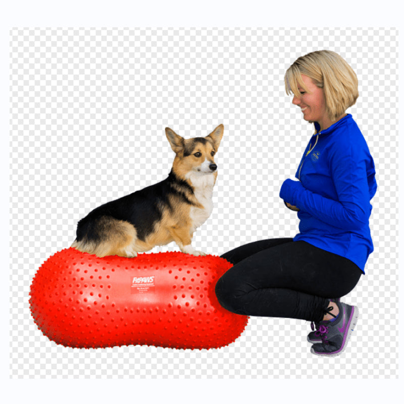 Balance TRAX™ Peanut Benefits - Pet medical equipment