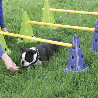 Canine Gym Agility Kit, Mesh Bag, 12" - Pet medical equipment