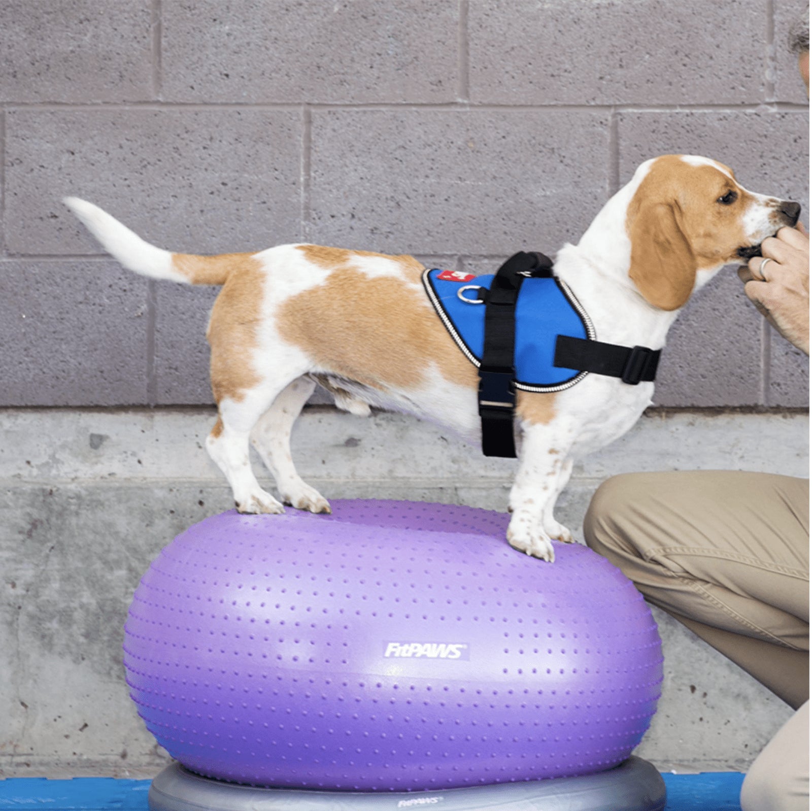 Circular Product Holder - Grey - Pet medical equipment