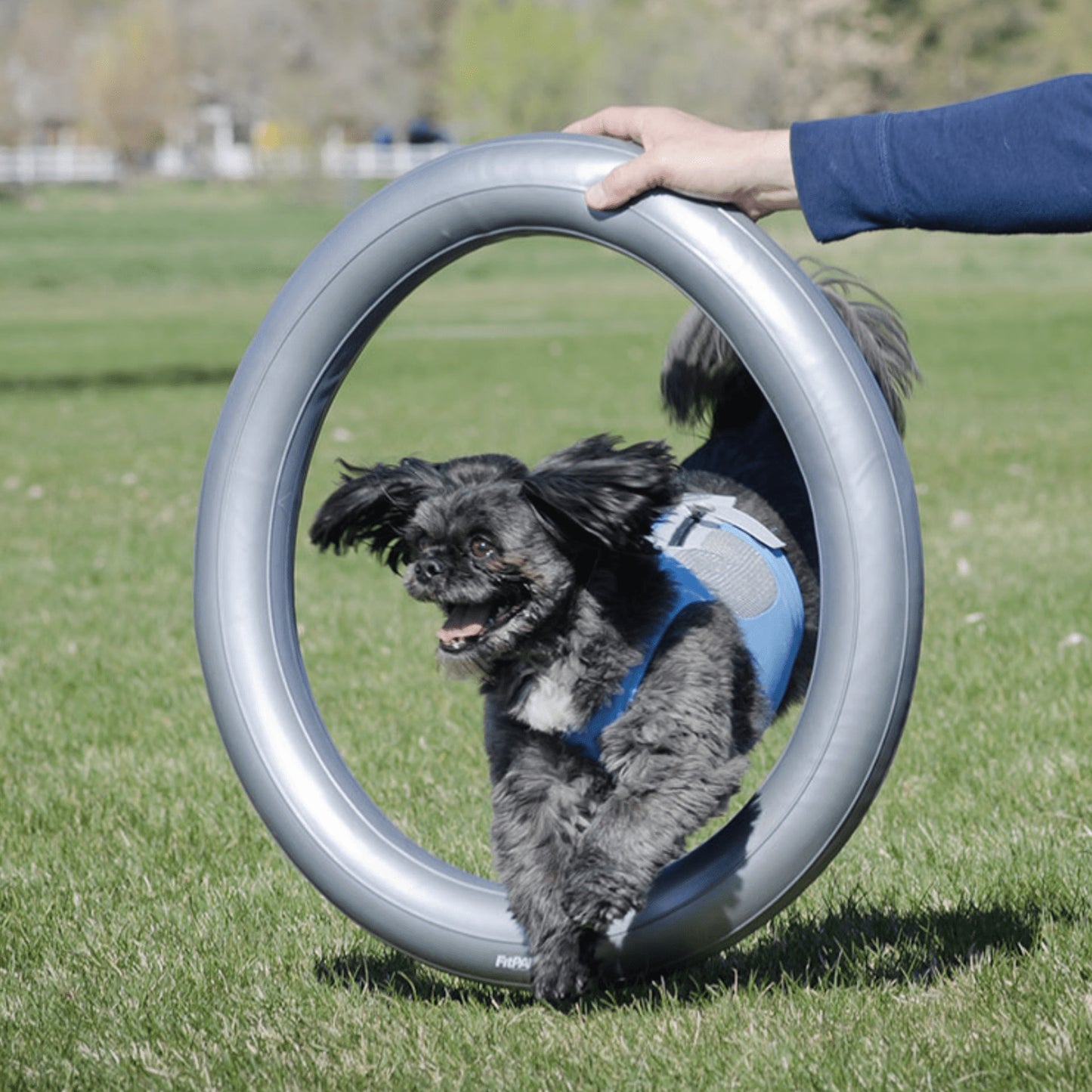 Circular Product Holder - Grey - Pet medical equipment