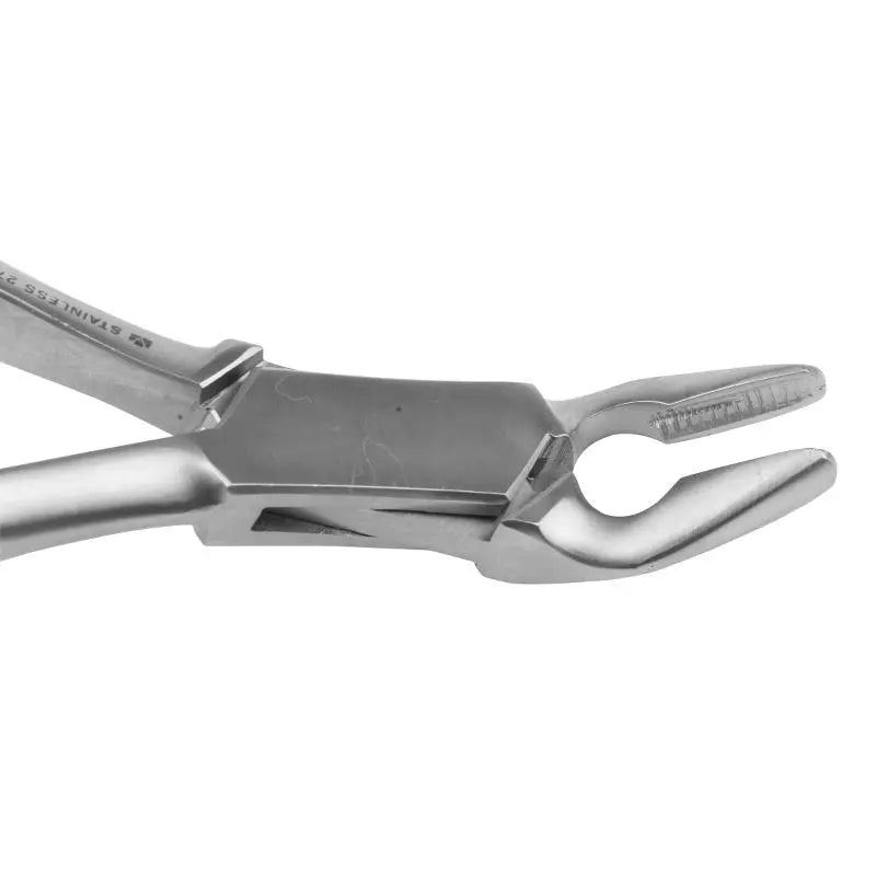 Dental Forceps - Pet medical equipment