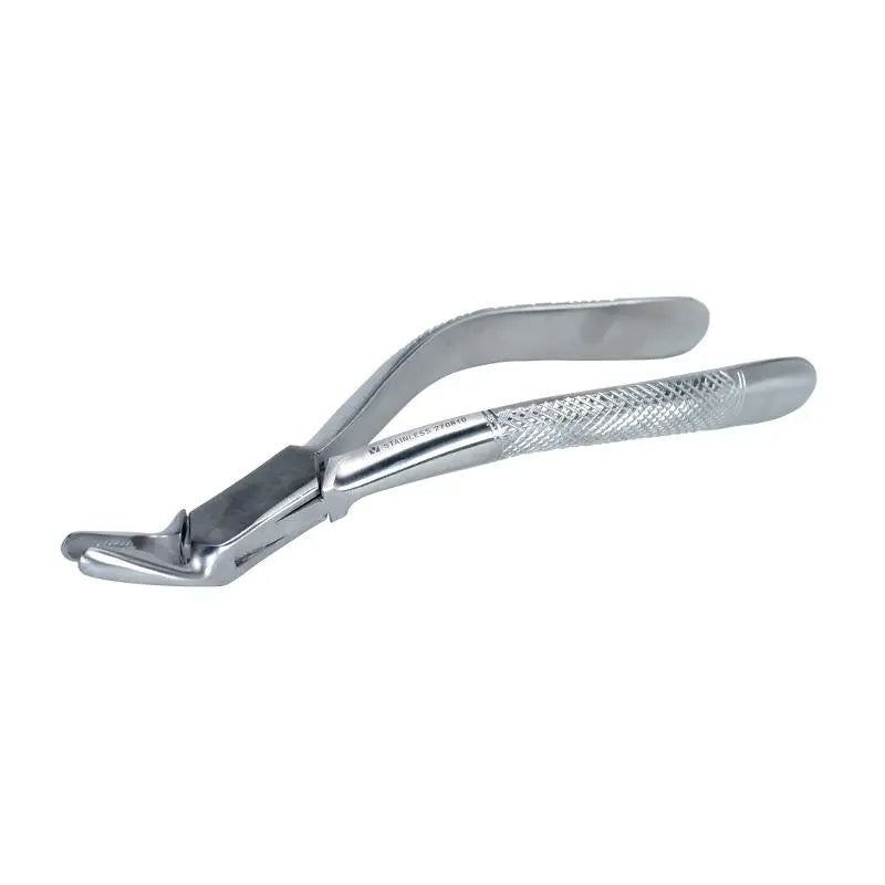 Dental Forceps - Pet medical equipment