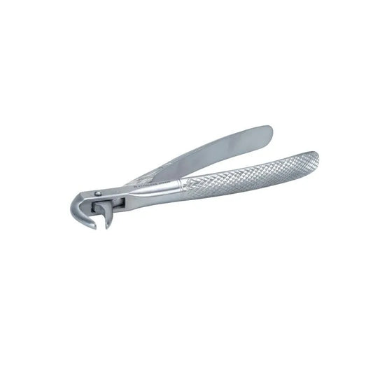 Dental Forceps Curved - Pet medical equipment