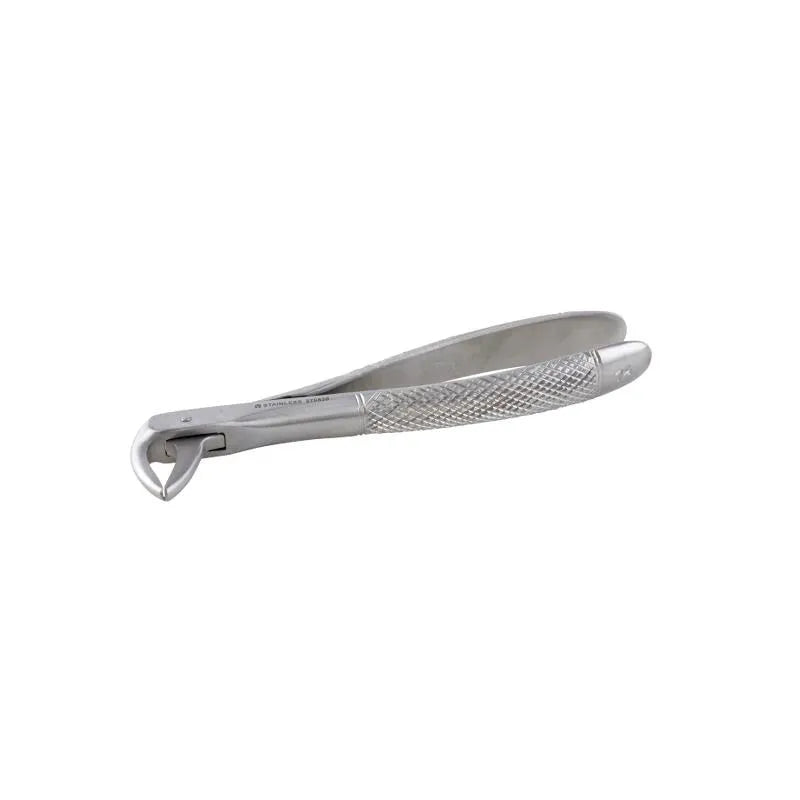 Dental Forceps Curved - Pet medical equipment