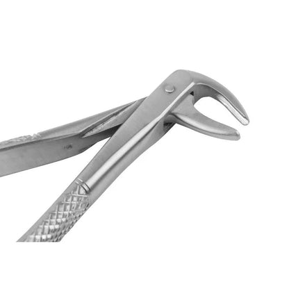 Dental Forceps Curved - Pet medical equipment