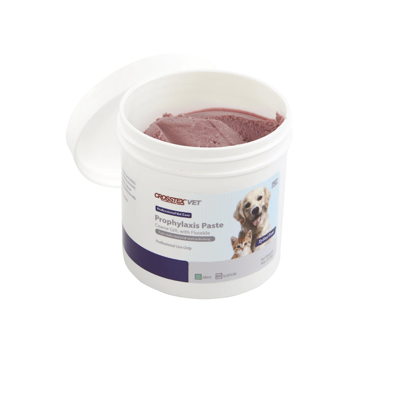 Dental Polishing Paste - Pet medical equipment