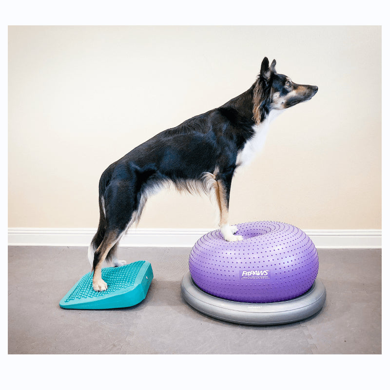 Dog Balance Ramp - Pet medical equipment