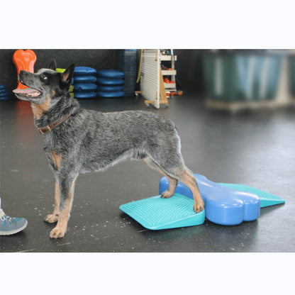 Dog Balance Ramp - Pet medical equipment