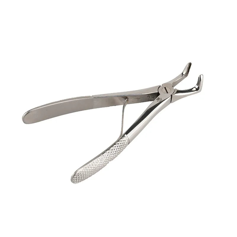 Extraction Forceps, right angled - Pet medical equipment
