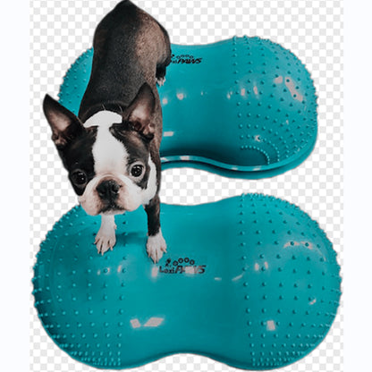 Fitness and Rehabilitation for Dogs - Pet medical equipment