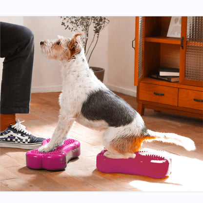 Fun Balanced Fitness with 2 Mini FITbones - Pet medical equipment