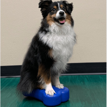 Fun Balanced Fitness with 2 Mini FITbones - Pet medical equipment