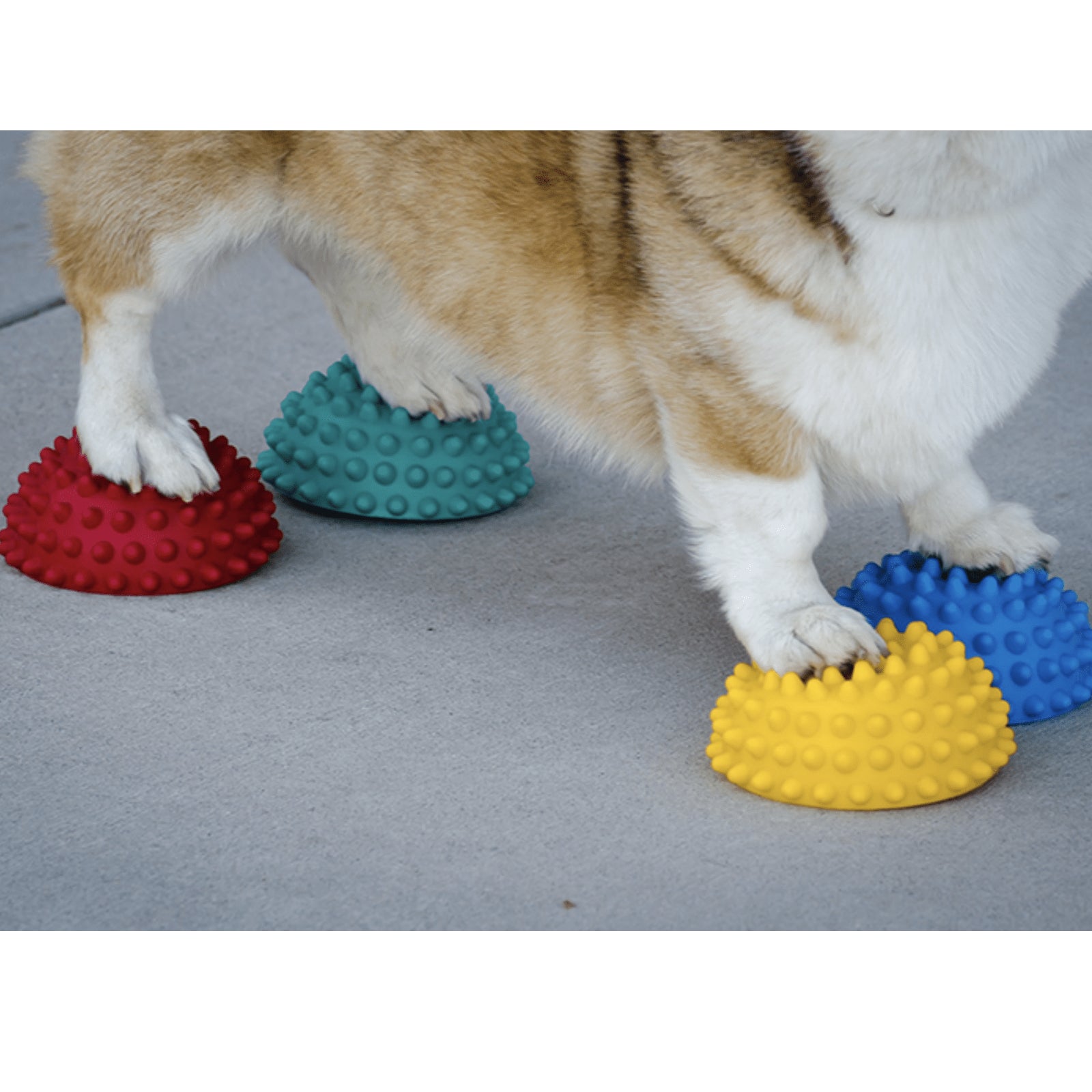 Paw Pods, Anti-Skid, (set of 4, net bag) - Pet medical equipment