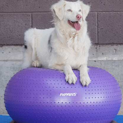 TRAX Donut-Purple - Pet medical equipment