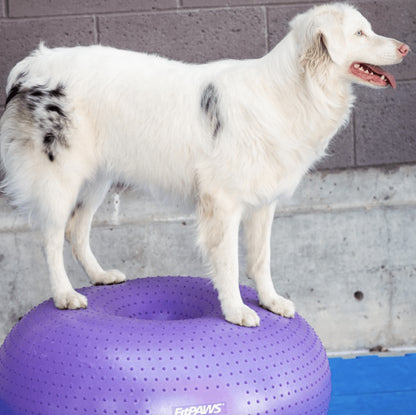 TRAX Donut-Purple - Pet medical equipment