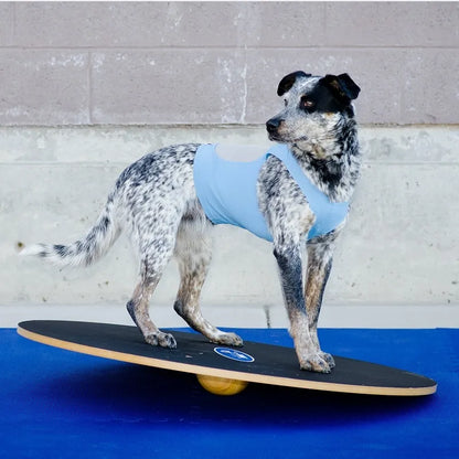 Wobble Board 20" & 36" - Pet medical equipment